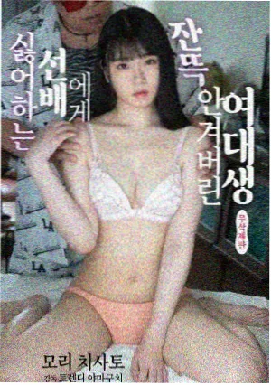 黑箱 悬案电视连续剧